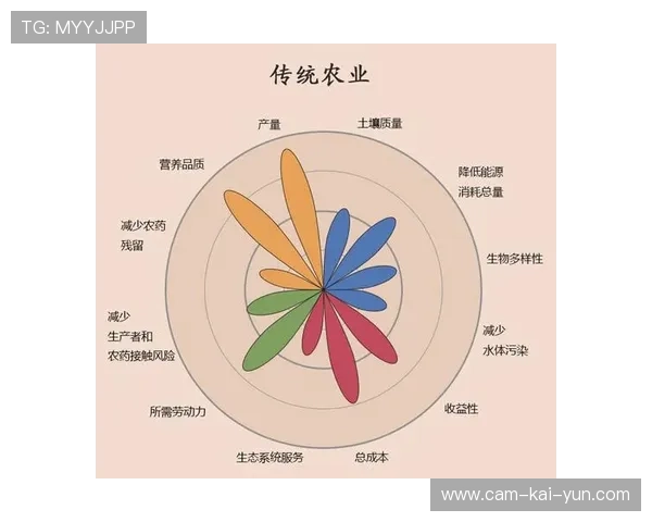 赛事综合效益评估纳入社会价值指标