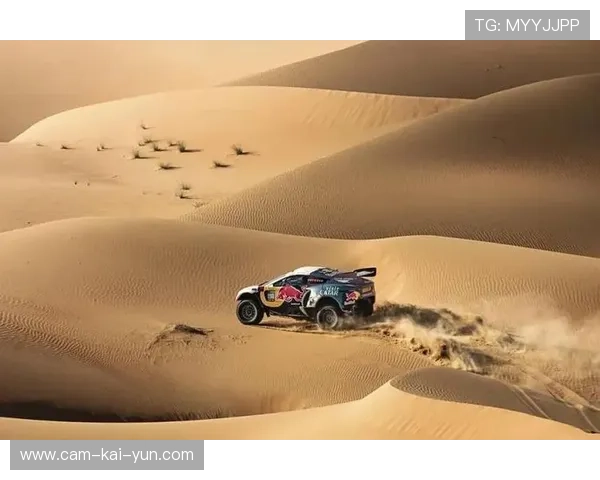 达喀尔拉力赛收官，勇士征服8000公里艰险赛道